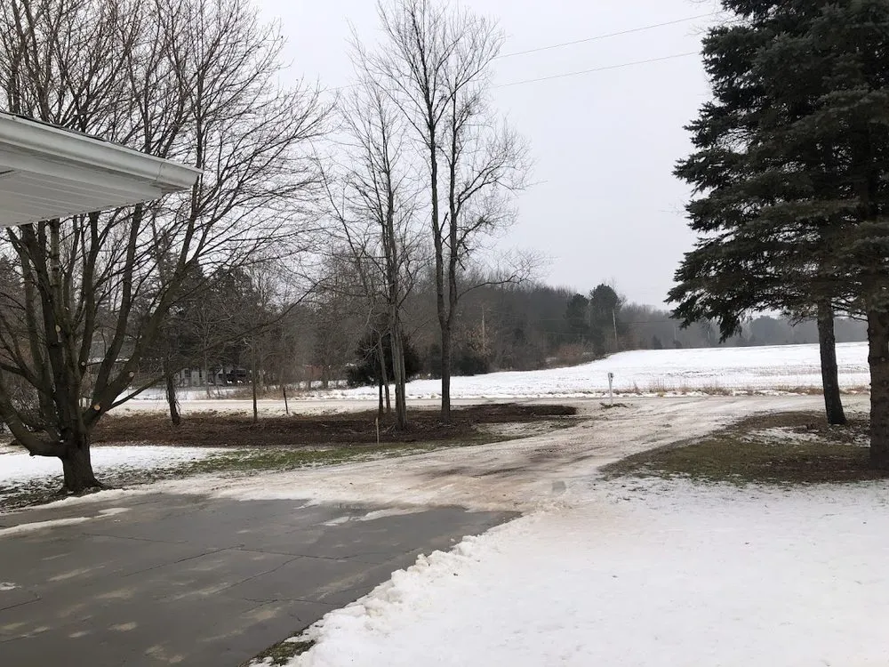 Expert landscape installation in Fowlerville, MI by Allan's Tree Service