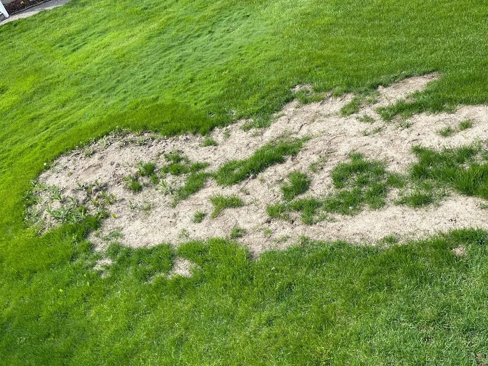 Custom landscaping services in Fowlerville, MI by Allan's Tree Service