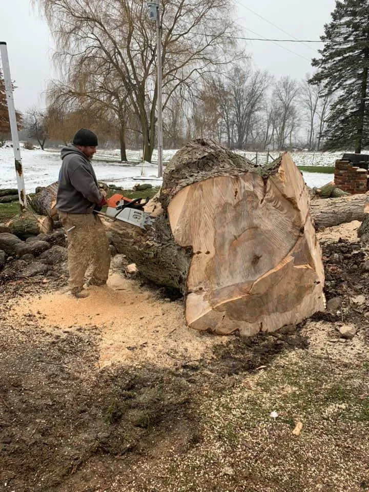 Reliable lawn mowing service for residential properties in Fowlerville, MI by Allan's Tree Service