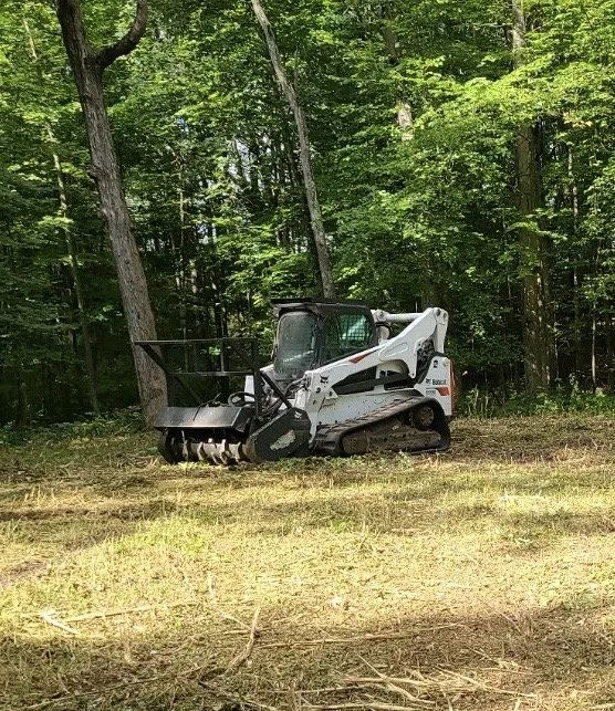 Reliable yard maintenance in Fowlerville, MI by Allan's Tree Service