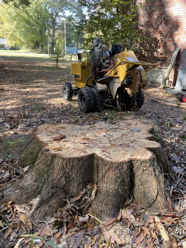 Custom yard maintenance experts serving Euharlee, GA - Allatoona Stump Grinding