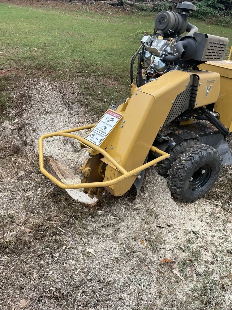 Top-rated lawn mowing service for beautiful yards in Euharlee, GA by Allatoona Stump Grinding