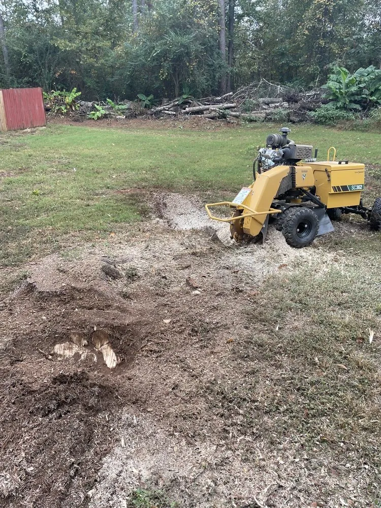 Local yard cleanup service experts serving Euharlee, GA - Allatoona Stump Grinding