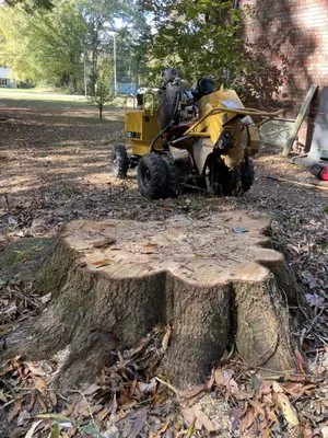 Allatoona Stump Grinding