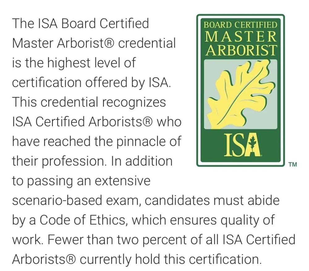 Custom lawn mowing service for year-round maintenance across Southfield, MI - Allavance Landscape & Design