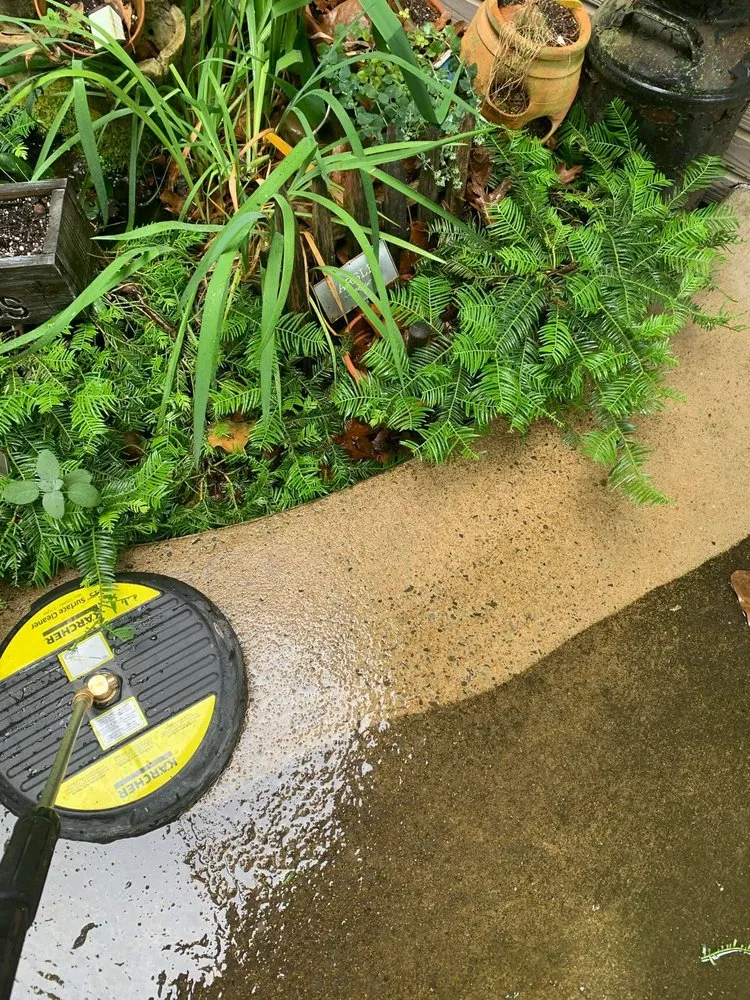 Expert landscaping services for residential properties in Chattanooga, TN by Allay Home Assistants