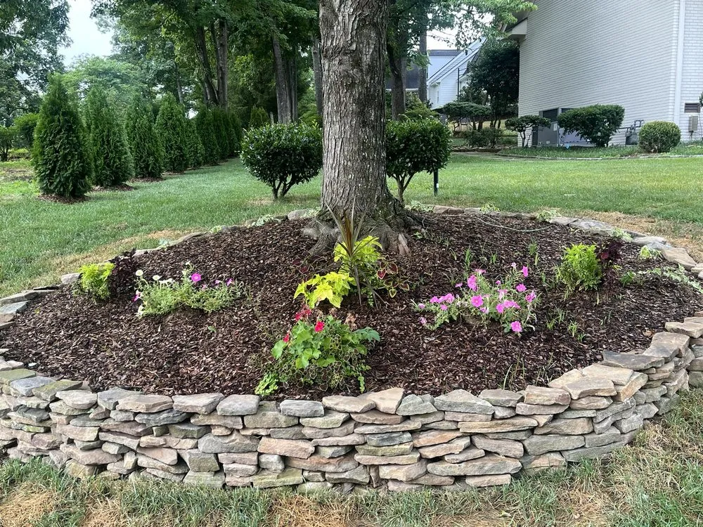 Trusted yard cleanup service in Chattanooga, TN - Allay Home Assistants