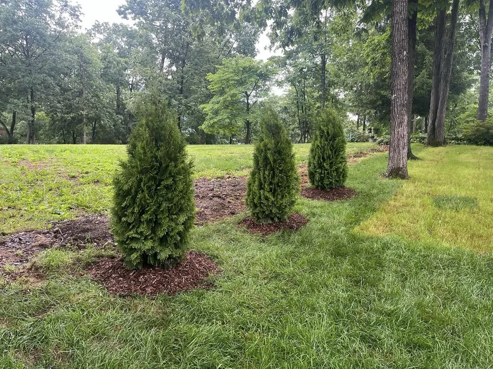 Trusted garden landscaping with custom design across Chattanooga, TN - Allay Home Assistants