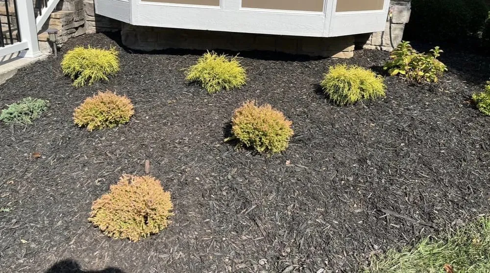 Affordable yard maintenance in Chattanooga, TN - Allay Home Assistants