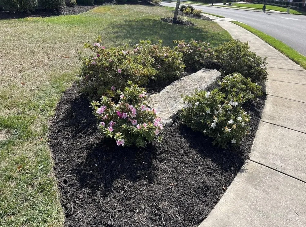 Affordable landscaping services in Chattanooga, TN by Allay Home Assistants