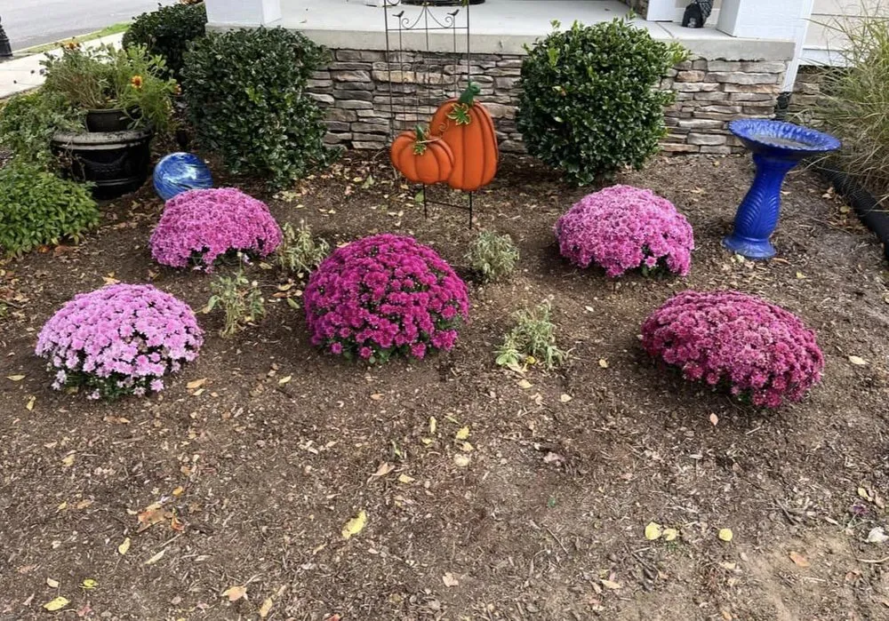 Custom landscape installation in Chattanooga, TN by Allay Home Assistants