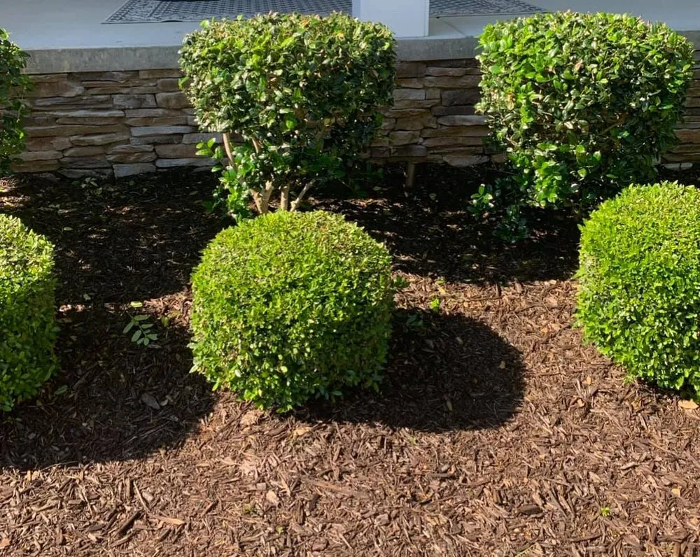 Affordable lawn care service experts serving Chattanooga, TN - Allay Home Assistants