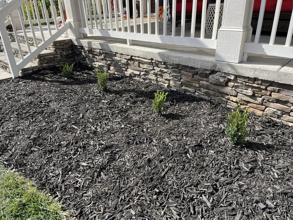 Expert yard cleanup service for residential properties across Chattanooga, TN - Allay Home Assistants