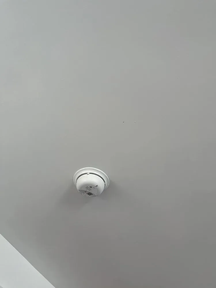 Custom lawn mowing service for residential properties in Chattanooga, TN by Allay Home Assistants