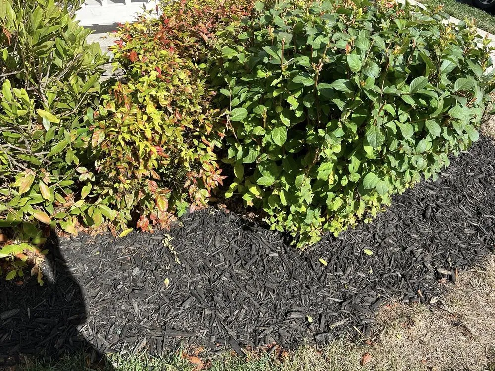 Trusted lawn mowing service in Chattanooga, TN - Allay Home Assistants