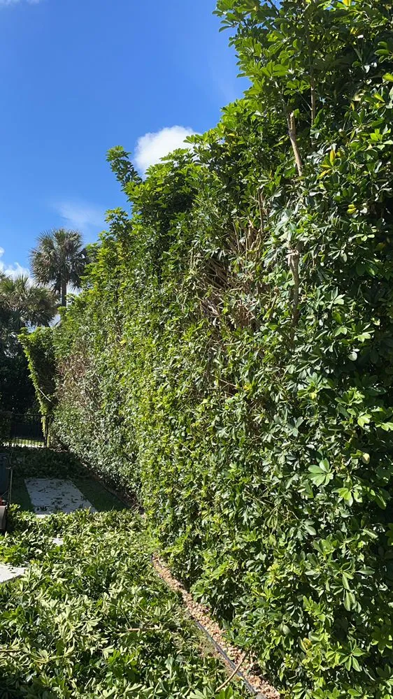 Top-rated landscape installation in Fort Pierce, FL by Allbright Maintenance & Landscaping