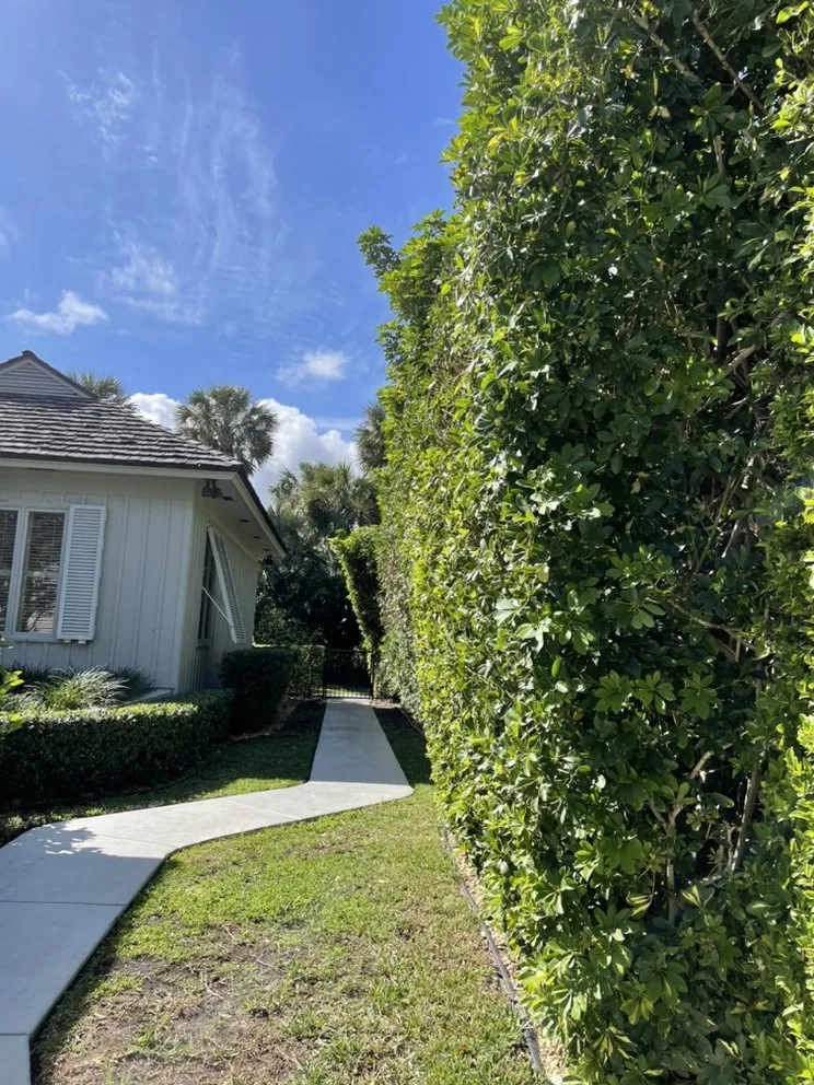 Custom lawn mowing service in Fort Pierce, FL by Allbright Maintenance & Landscaping