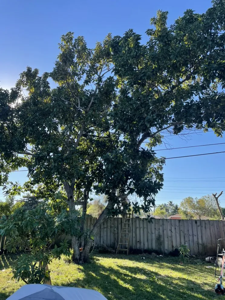 Affordable landscape installation in Fort Pierce, FL - Allbright Maintenance & Landscaping