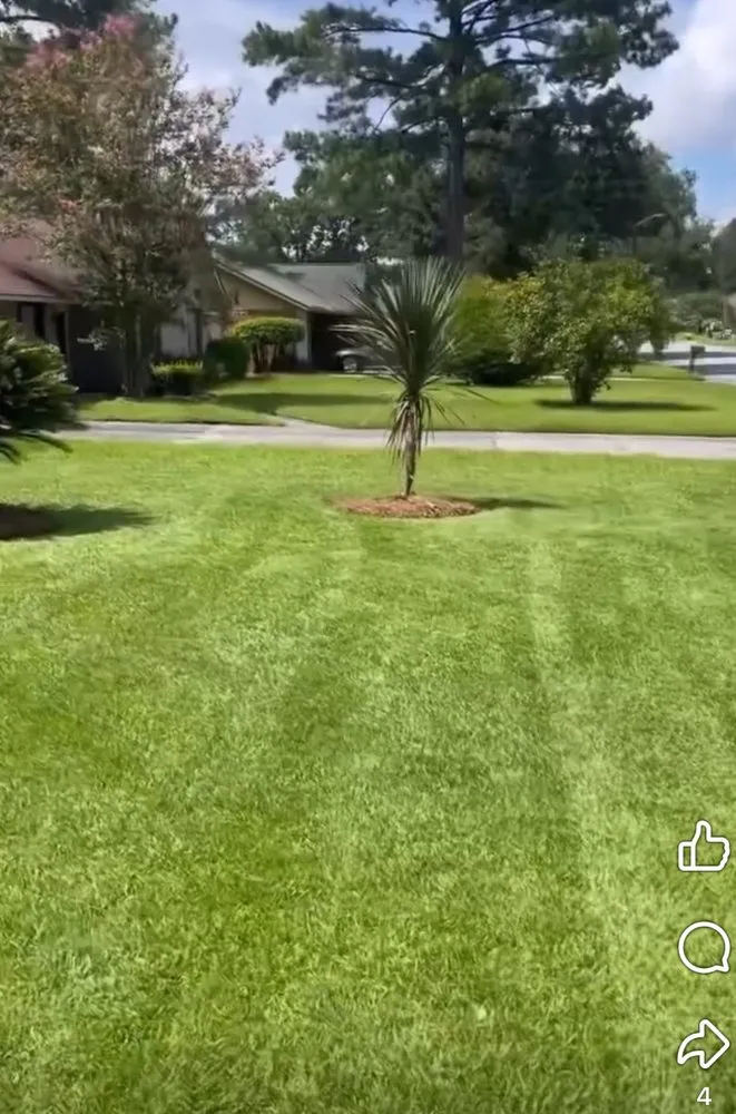Reliable residential landscaping for beautiful yards across Savannah, GA - Allday A1 Landscaping