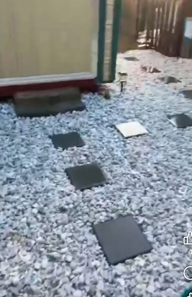 Reliable landscape design experts serving Savannah, GA - Allday A1 Landscaping