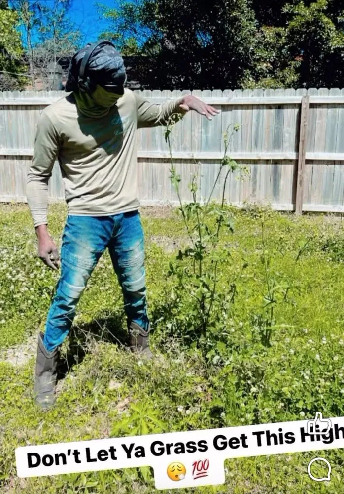 Trusted landscape design in Savannah, GA by Allday A1 Landscaping