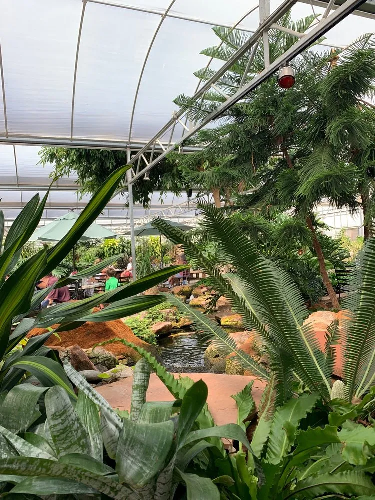 Local yard maintenance in Midland, TX by Alldredge Gardens