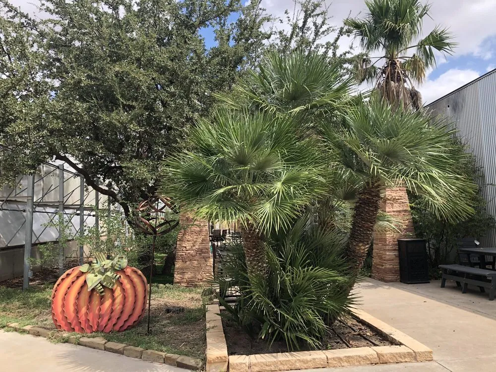 Reliable landscape installation experts serving Midland, TX - Alldredge Gardens