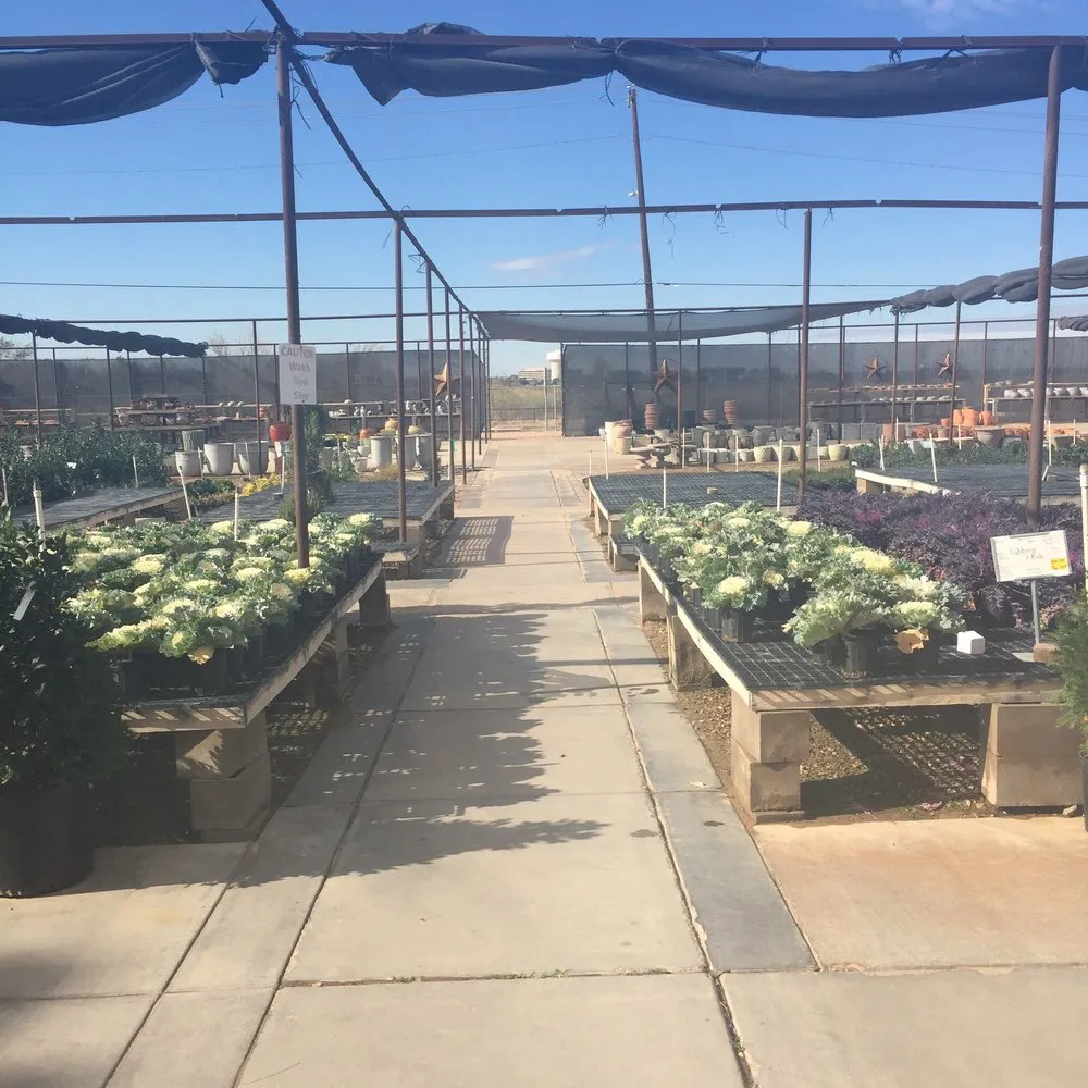 Custom garden landscaping experts serving Midland, TX - Alldredge Gardens