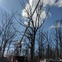 Affordable lawn care service near you in Turbotville, PA by Allegheny Professional Tree Care & Landscaping