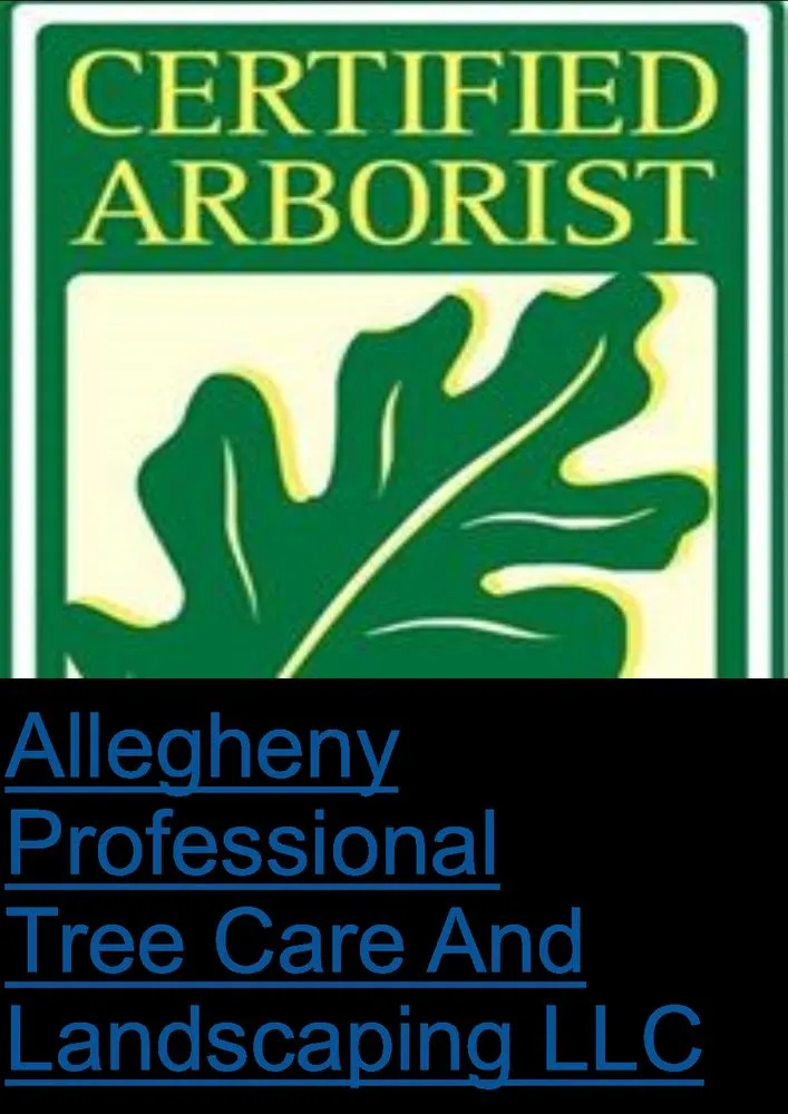 Local yard cleanup service for residential properties across Turbotville, PA - Allegheny Professional Tree Care & Landscaping