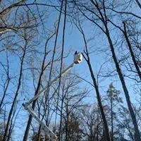 Expert outdoor landscaping for year-round maintenance in Turbotville, PA by Allegheny Professional Tree Care & Landscaping