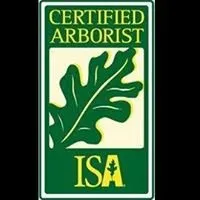 Expert yard maintenance in Turbotville, PA by Allegheny Professional Tree Care & Landscaping