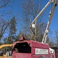 Trusted yard cleanup service near you in Turbotville, PA by Allegheny Professional Tree Care & Landscaping