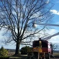 Local landscape design in Turbotville, PA - Allegheny Professional Tree Care & Landscaping