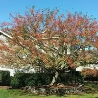 Affordable landscape installation for outdoor upgrades in Turbotville, PA by Allegheny Professional Tree Care & Landscaping