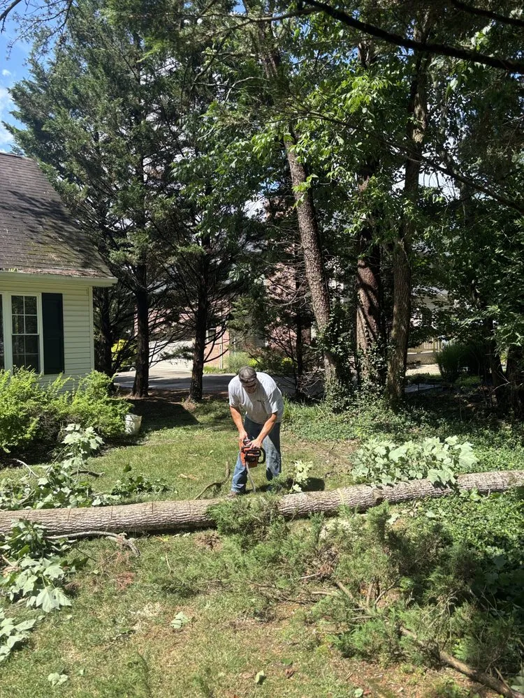 Trusted yard maintenance for beautiful yards in Charleston, WV by Allegheny Services