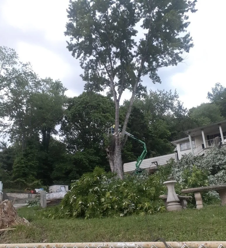 Professional landscape installation in Charleston, WV - Allegheny Services