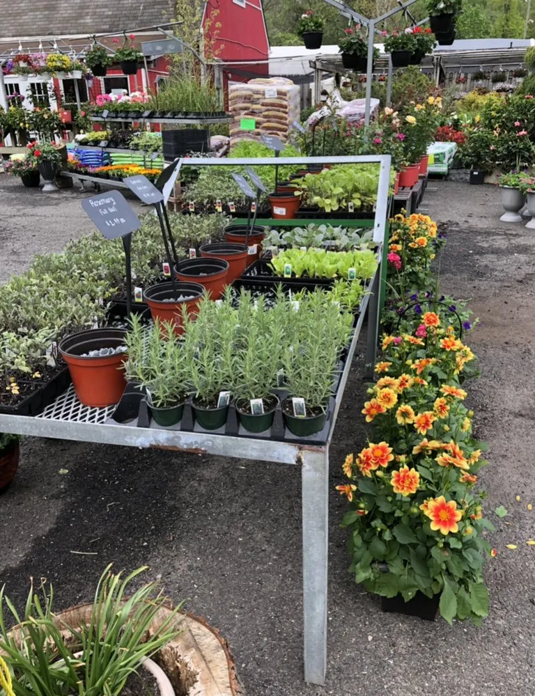 Affordable landscaping services in East Brunswick, NJ by Allegiance Landscaping