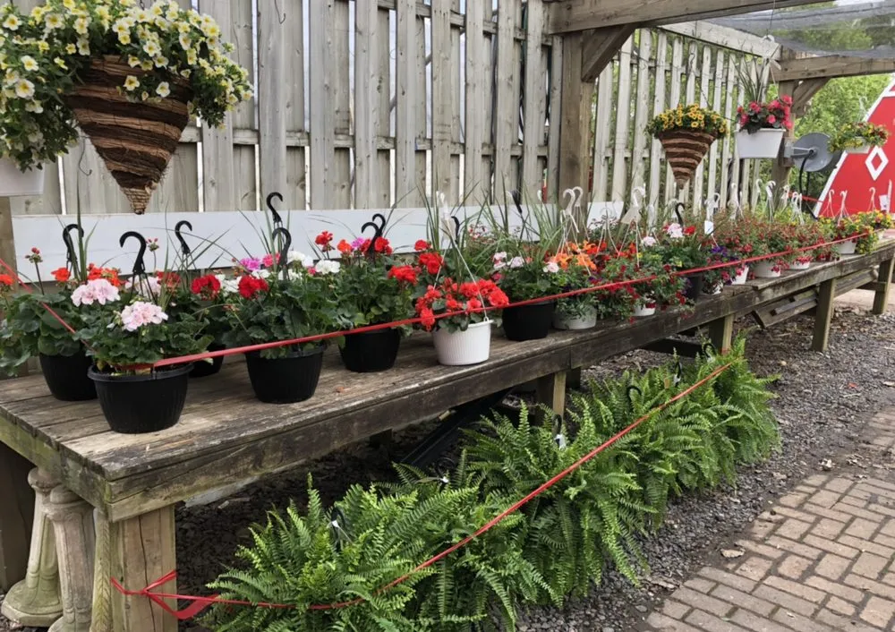 Reliable lawn mowing service near you across East Brunswick, NJ - Allegiance Landscaping