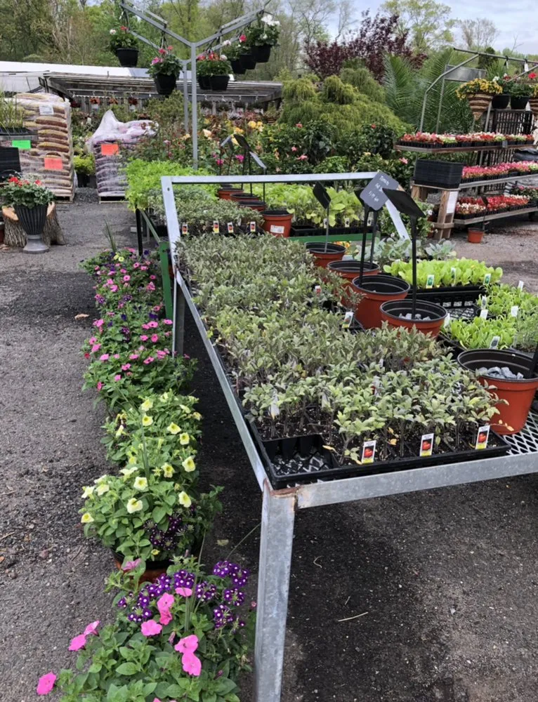 Custom landscape design for outdoor upgrades in East Brunswick, NJ by Allegiance Landscaping