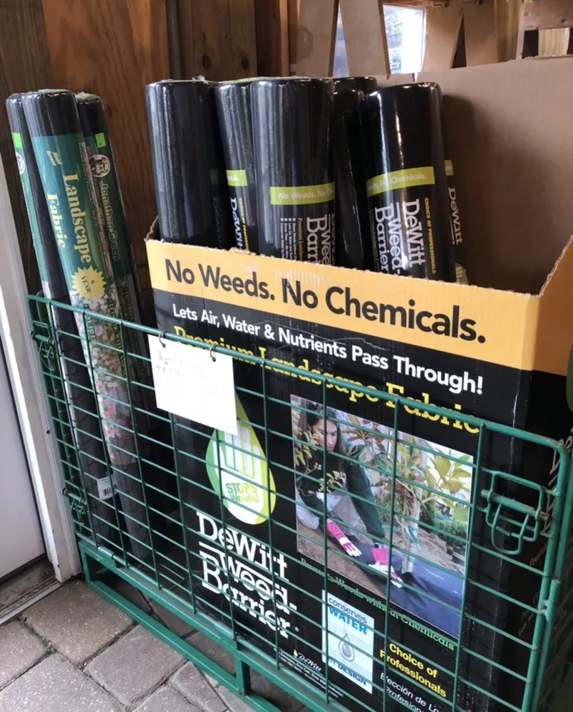 Top-rated lawn care service experts serving East Brunswick, NJ - Allegiance Landscaping