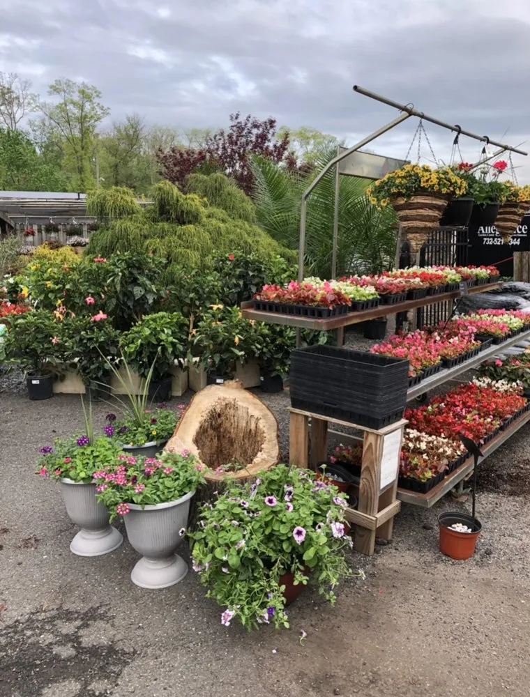 Professional landscape installation in East Brunswick, NJ - Allegiance Landscaping