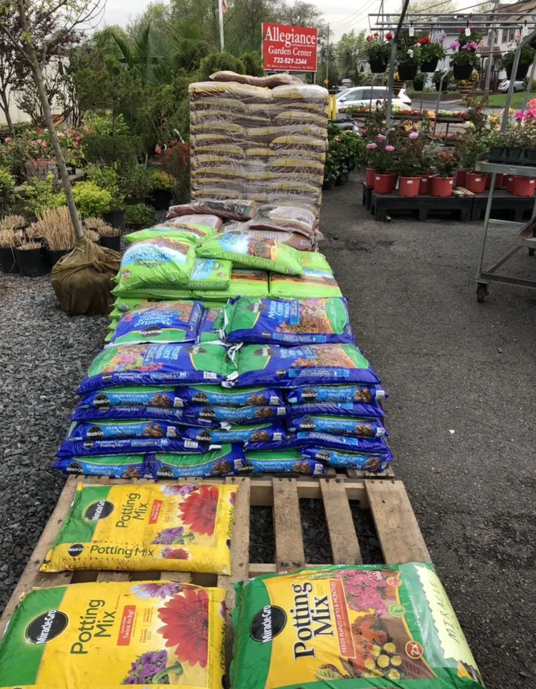 Expert outdoor landscaping in East Brunswick, NJ by Allegiance Landscaping