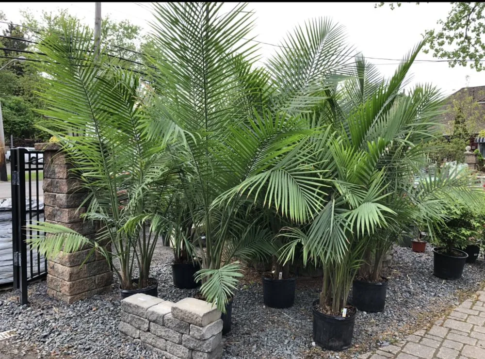 Custom landscape design for outdoor upgrades across East Brunswick, NJ - Allegiance Landscaping