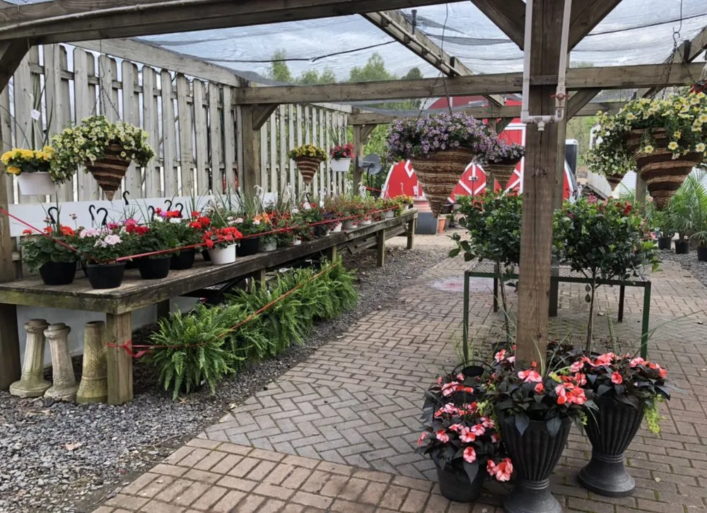 Professional garden landscaping for year-round maintenance across East Brunswick, NJ - Allegiance Landscaping