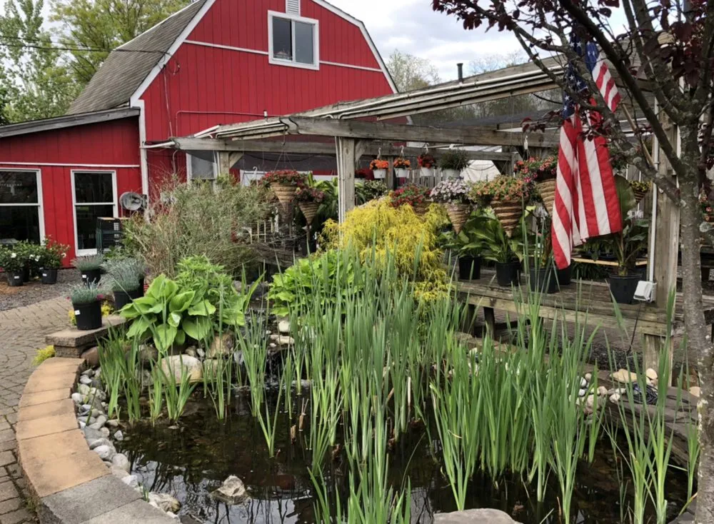 Reliable yard cleanup service in East Brunswick, NJ - Allegiance Landscaping