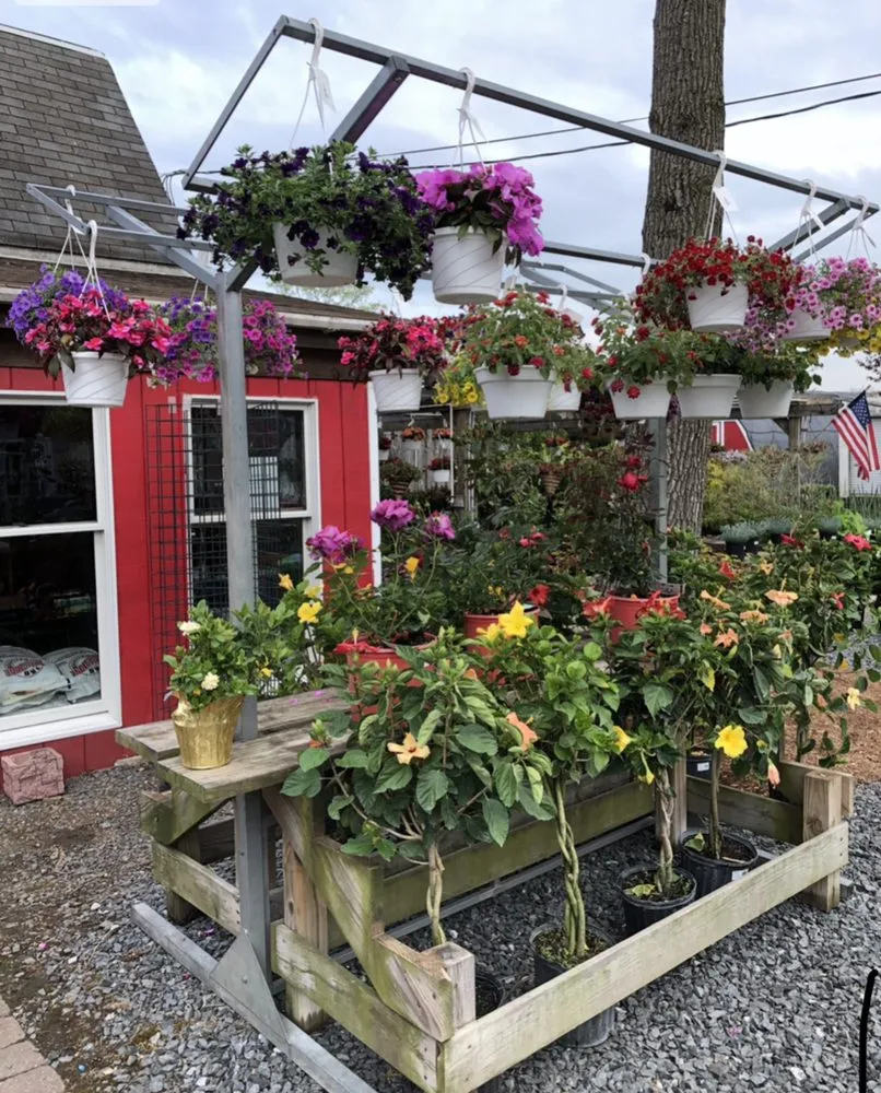 Custom lawn mowing service experts serving East Brunswick, NJ - Allegiance Landscaping