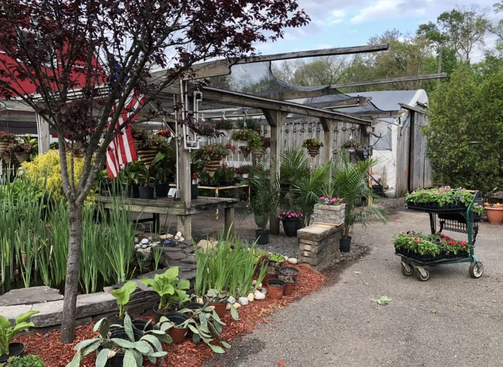 Custom yard cleanup service in East Brunswick, NJ - Allegiance Landscaping