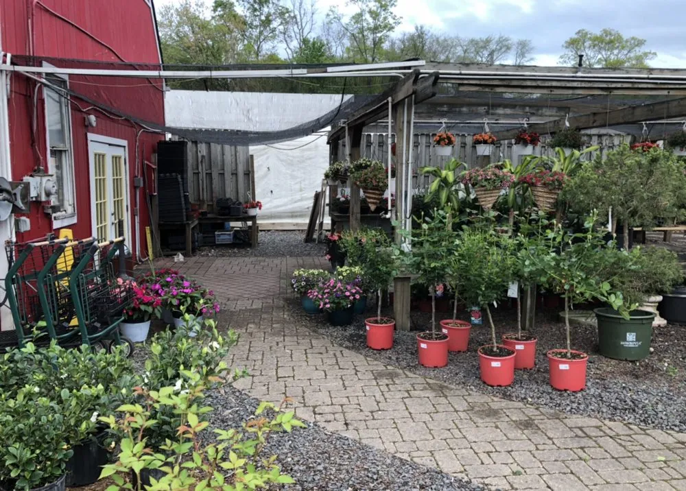 Top-rated yard maintenance for year-round maintenance across East Brunswick, NJ - Allegiance Landscaping