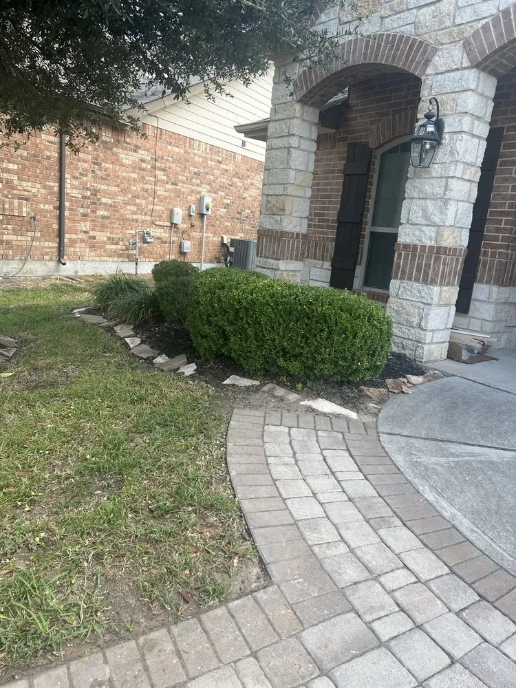 Custom yard cleanup service in Spring, TX by Allegiance Lawn Care